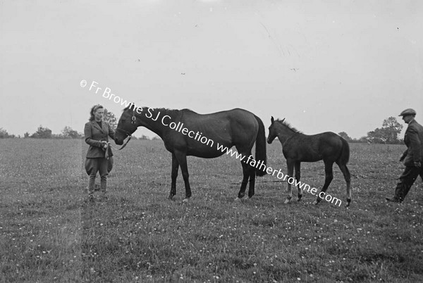 HEADFORD HOUSE  MISS ELIZABETH CLARKE WITH THOROUGHBRED MARES AND FOALS